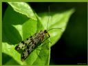 Aparaty cyfrowe: zdj�cia, jaki kupi�, porady : cz. 187 - ewelina_m