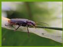 Aparaty cyfrowe: zdj�cia, jaki kupi�, porady : cz. 187 - ewelina_m