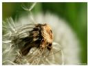 Aparaty cyfrowe: zdj�cia, jaki kupi�, porady : cz. 187 - ewelina_m