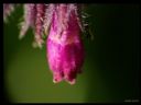 Aparaty cyfrowe: zdj�cia, jaki kupi�, porady : cz. 187 - ewelina_m