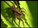 Aparaty cyfrowe: zdj�cia, jaki kupi�, porady : cz. 187 - ewelina_m