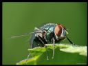 Aparaty cyfrowe: zdj�cia, jaki kupi�, porady : cz. 187 - ewelina_m