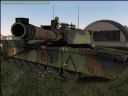 ArmA: Armed Assault [cz�� 31] - T_bone