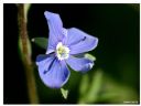 Aparaty cyfrowe: zdj�cia, jaki kupi�, porady : cz. 187 - ewelina_m