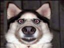 WTF is wrong with /b/? - hctkko.