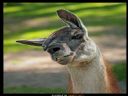 Aparaty cyfrowe: zdj�cia, jaki kupi�, porady : cz. 209 - ewelina_m