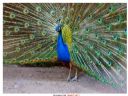 Aparaty cyfrowe: zdj�cia, jaki kupi�, porady : cz. 209 - ewelina_m