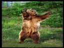 Aparaty cyfrowe: zdj�cia, jaki kupi�, porady : cz. 209 - ewelina_m