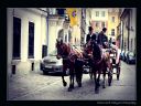 Aparaty cyfrowe: zdj�cia, jaki kupi�, porady : cz. 209 - Jelithe