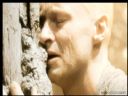 Filmo�ercy - jaki to film? :::kadr 387::: - sparrhawk