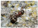 Aparaty cyfrowe: zdj�cia, jaki kupi�, porady : cz. 209 - ewelina_m
