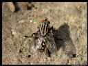 Aparaty cyfrowe: zdj�cia, jaki kupi�, porady : cz. 209 - ewelina_m