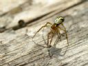 Aparaty cyfrowe: zdj�cia, jaki kupi�, porady : cz. 209 - ewelina_m