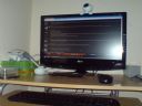Xbox 360 [Cz�� 100] - Tylko o SPRZ�CIE - Jubileusz! - tosiek2142