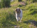Aparaty cyfrowe: zdj�cia, jaki kupi�, porady : cz. 209 - N2