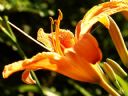 Aparaty cyfrowe: zdj�cia, jaki kupi�, porady : cz. 209 - EspenLund