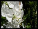 Aparaty cyfrowe: zdj�cia, jaki kupi�, porady : cz. 210 - hubercik015