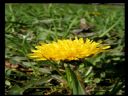Aparaty cyfrowe: zdj�cia, jaki kupi�, porady : cz. 210 - hubercik015
