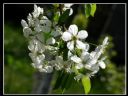 Aparaty cyfrowe: zdj�cia, jaki kupi�, porady : cz. 210 - hubercik015