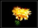 Aparaty cyfrowe: zdj�cia, jaki kupi�, porady : cz. 210 - hubercik015