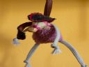 Aparaty cyfrowe: zdj�cia, jaki kupi�, porady : cz. 210 - Yog-Sothoth