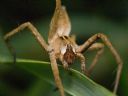 Aparaty cyfrowe: zdj�cia, jaki kupi�, porady : cz. 210 - N2
