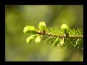 Aparaty cyfrowe: zdj�cia, jaki kupi�, porady : cz. 210 - Narmo