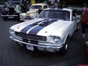 Ford Mustang ]:-> (cz.1 ) - Sanchin