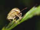 Aparaty cyfrowe: zdj�cia, jaki kupi�, porady : cz. 210 - N3