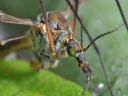 Aparaty cyfrowe: zdj�cia, jaki kupi�, porady : cz. 210 - malyr