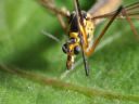 Aparaty cyfrowe: zdj�cia, jaki kupi�, porady : cz. 210 - malyr