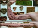 Fajny wz�r na tatua�. Pomo�ecie ? - M'q
