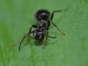 Aparaty cyfrowe: zdj�cia, jaki kupi�, porady : cz. 210 - malyr