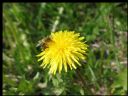Aparaty cyfrowe: zdj�cia, jaki kupi�, porady : cz. 210 - Shifty.