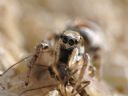 Aparaty cyfrowe: zdj�cia, jaki kupi�, porady : cz. 210 - malyr