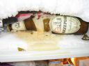 Piwosze! Mi�o�nicy Piwa! - Lysack
