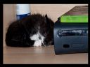 Xbox 360 - [Cz�� 183] - yasiu