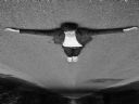 >>Jak wygl�dacie - [Zdj�cia] Part 214<< Witaj, maj - Ma�yKsi��e