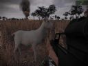 ArmA: Armed Assault [cz�� 70] "Release the butterflies!" - Madkongothonurgh