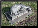 Gdzie to sie znajduje...? - The LasT Child