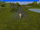 Gry w C++ - Sainim