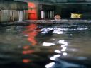 Filmo�ercy - jaki to film? :::kadr 394:::  - kurzew