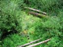 Aparaty cyfrowe: zdj�cia, jaki kupi�, porady : cz. 188 - slowik