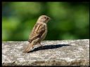 Aparaty cyfrowe: zdj�cia, jaki kupi�, porady : cz. 188 - ewelina_m