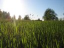 Aparaty cyfrowe: zdj�cia, jaki kupi�, porady : cz. 188 - BeneQ junior