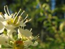 Aparaty cyfrowe: zdj�cia, jaki kupi�, porady : cz. 188 - BeneQ junior
