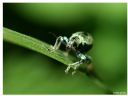 Aparaty cyfrowe: zdj�cia, jaki kupi�, porady : cz. 188 - ewelina_m