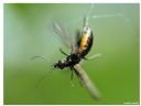 Aparaty cyfrowe: zdj�cia, jaki kupi�, porady : cz. 188 - ewelina_m