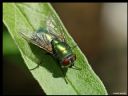 Aparaty cyfrowe: zdj�cia, jaki kupi�, porady : cz. 188 - ewelina_m