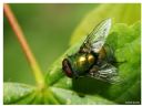 Aparaty cyfrowe: zdj�cia, jaki kupi�, porady : cz. 188 - ewelina_m